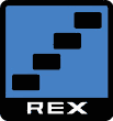 Rex blue blocks
